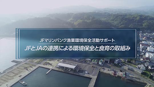 【公式】【JF一宮町×JA淡路日の出】淡路島の漁場保全や食育でJF・JAが連携！