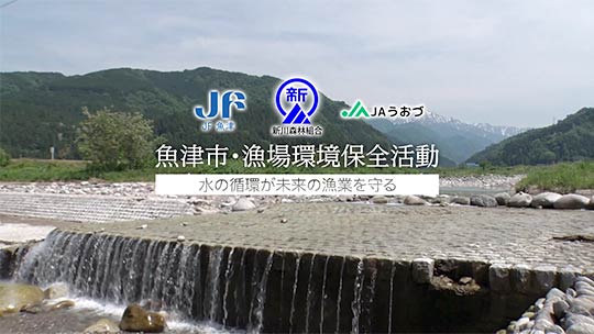 【魚津漁協×新川森林組合×JAうおづ】「海の資源を未来へつなぐ」漁場環境保全活動に密着！