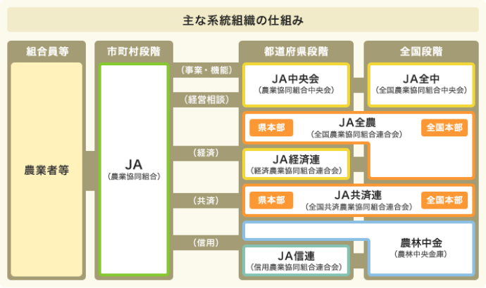 主な系統組織の仕組み