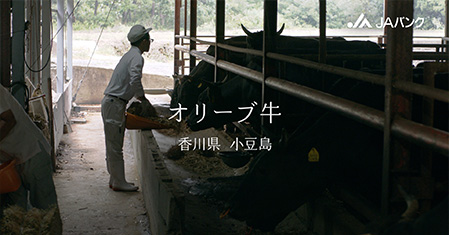 「オリーブ牛」篇