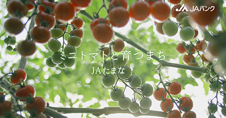 「ミニトマト」篇