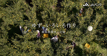 「ゆず」篇