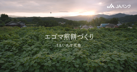「エゴマ」篇