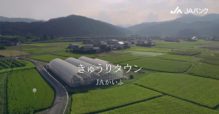 「きゅうりタウン」篇