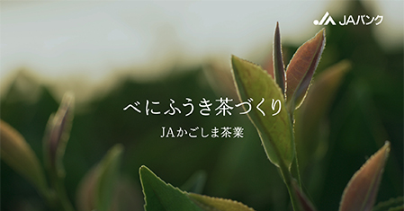 「べにふうき」篇