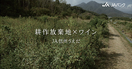 「ワインで生まれ変わった耕作放棄地」篇