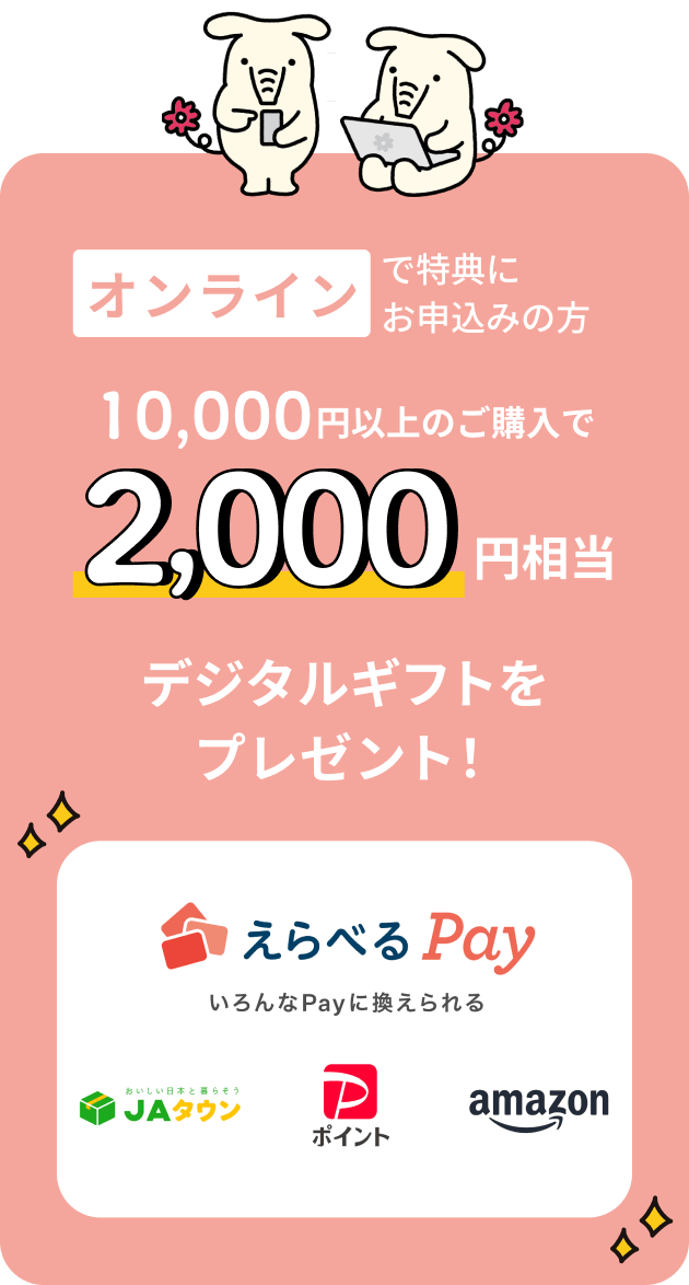 オンラインで特典にお申込みの方 10,000円以上のご購入で2,000円相当デジタルギフトをプレゼント！えらべるPay いろんなPayに換えられる JAタウン、PayPayポイント Amazon