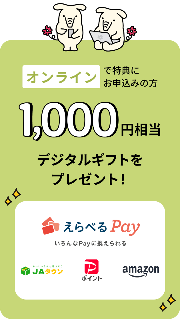 オンラインで特典にお申込みの方 1,000円相当デジタルギフトをプレゼント！えらべるPay いろんなPayに換えられる JAタウン、PayPayポイント Amazon